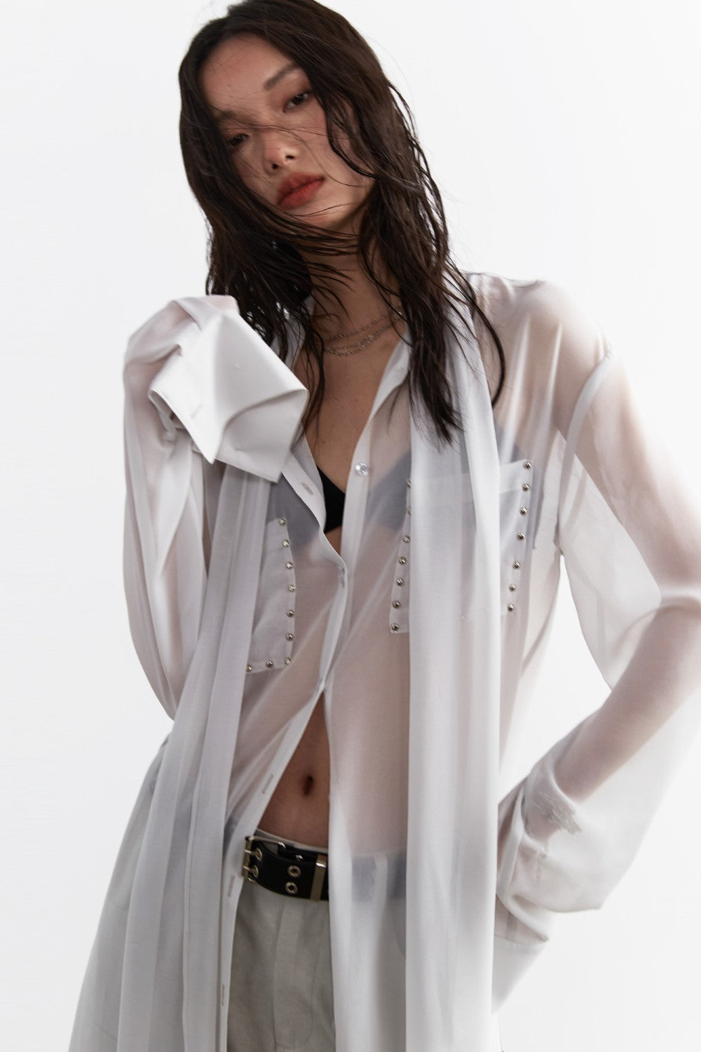 Long Sheer Chiffon Blouse