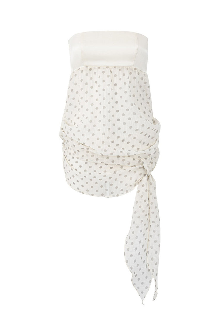 Mina Polka Mesh Tube Top